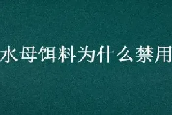 水母饵料为什么禁用