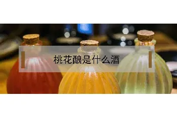 桃花酿是什么酒