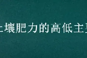 土壤肥力的高低主要取决于