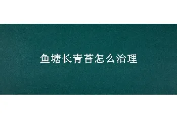 鱼塘长青苔怎么治理