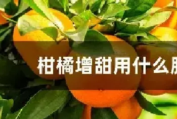 柑橘增甜用什么肥料