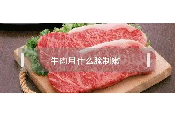 牛肉用什么腌制嫩