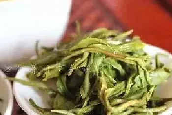 大叶茶的功效与作用 有什么危害