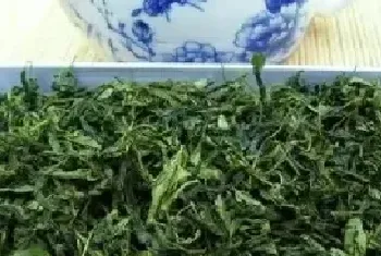 酸枣芽茶的功效与副作用