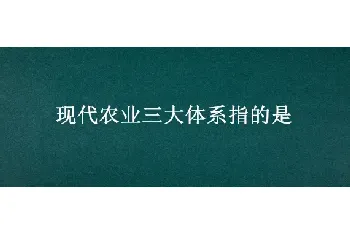 现代农业三大体系指的是