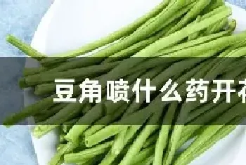 豆角喷什么药开花多