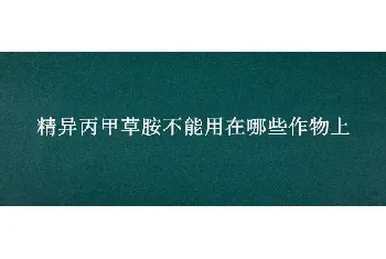 精异丙甲草胺不能用在哪些作物上