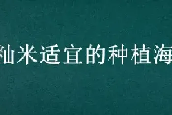 籼米适宜的种植海拔上限