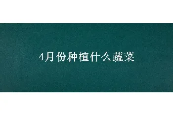 4月份种植什么蔬菜