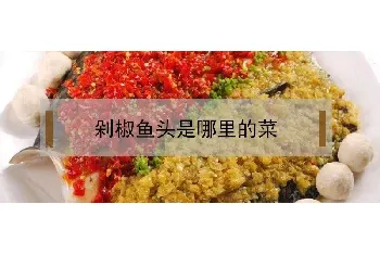 剁椒鱼头是哪里的菜