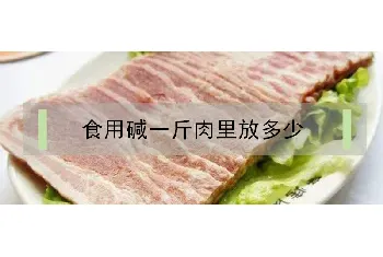 食用碱一斤肉里放多少