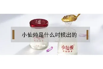 小仙炖是什么时候出的