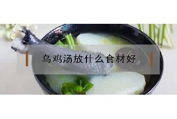 乌鸡汤放什么食材好