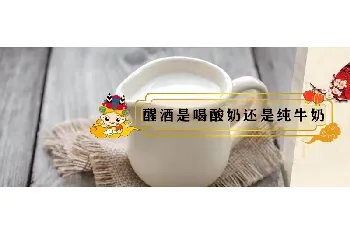 醒酒是喝酸奶还是纯牛奶