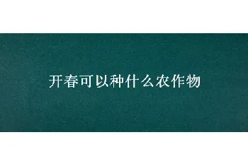 开春可以种什么农作物