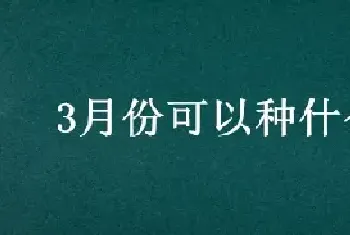 3月份可以种什么豆