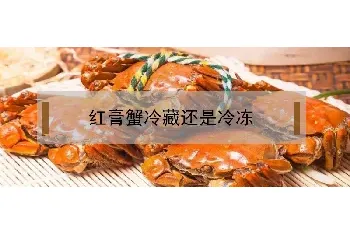 红膏蟹冷藏还是冷冻