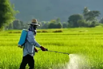 胺鲜乙烯利怎么用？