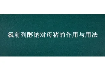 氯前列醇钠对母猪的作用与用法