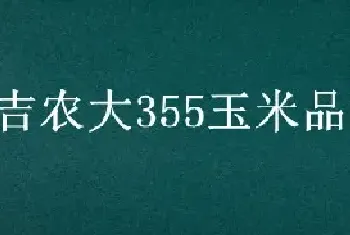 吉农大355玉米品种介绍