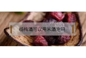 杨梅酒可以用米酒泡吗