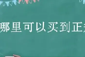 从哪里可以买到正规的菌种