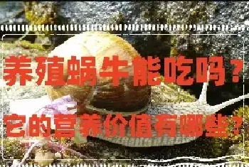 养殖蜗牛能吃吗？它的营养价值有哪些？