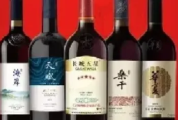 长城葡萄酒怎么样 长城葡萄酒怎么喝