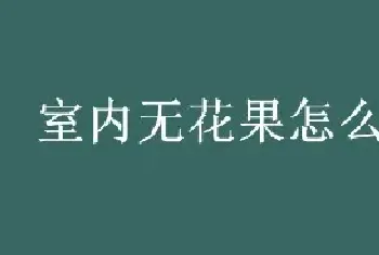 室内无花果怎么授粉