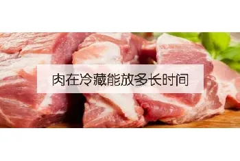 肉在冷藏能放多长时间