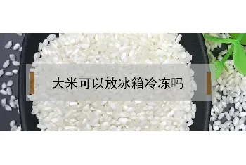 大米可以放冰箱冷冻吗