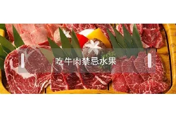 吃牛肉禁忌水果