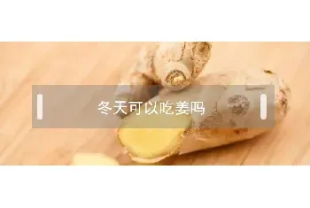 冬天可以吃姜吗