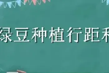 绿豆种植行距和株距