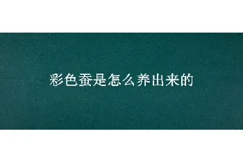 彩色蚕是怎么养出来的